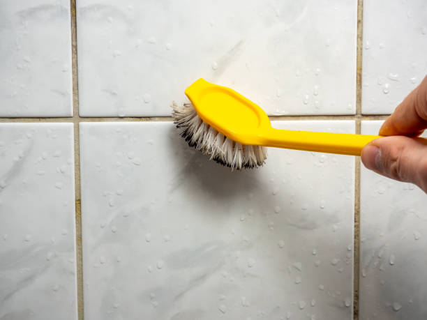 Best Basement Mold Remediation in Gerdine, AL