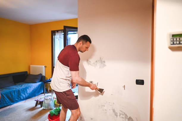 Best Attic Mold Remediation in Gerdine, AL